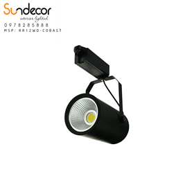 Đèn Led Rọi Ray RR12WD-COBAST