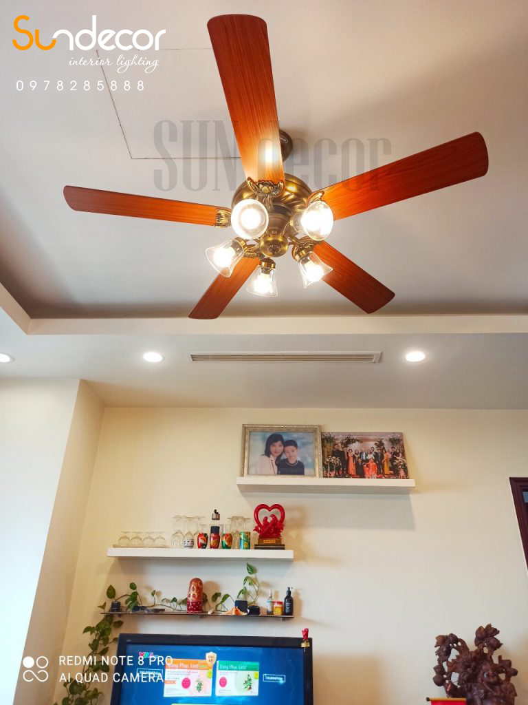 Quạt Trần Đèn Mr Vũ Cao Cấp  LOTUS RB LIGHT