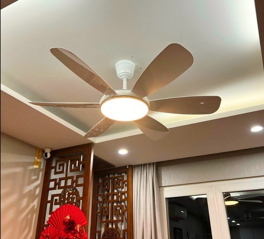 Quạt trần đèn từ thương hiệu ASIA 
